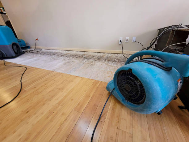 Professional Basement Flood Cleanup technician working in Lamar, MO